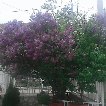 Damir's Apartament Sarajewo